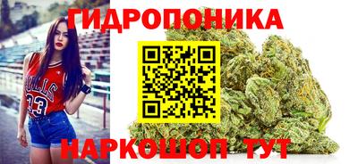 круглые Тара