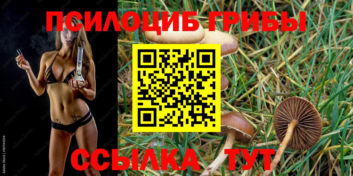 Псилоцибиновые грибы Psilocybine cubensis Похвистнево