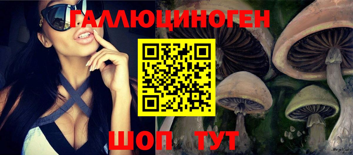 Похвистнево  Псилоцибиновые грибы GOLDEN TEACHER  Вход с VPN 